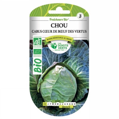 Graines BIO Chou Cabus Coeur de Boeuf des Vertus - Les Doigts Verts