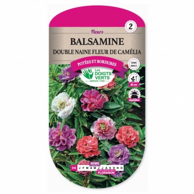 Graines Balsamine Double Naine Fleur de Camélia - Les Doigts Verts