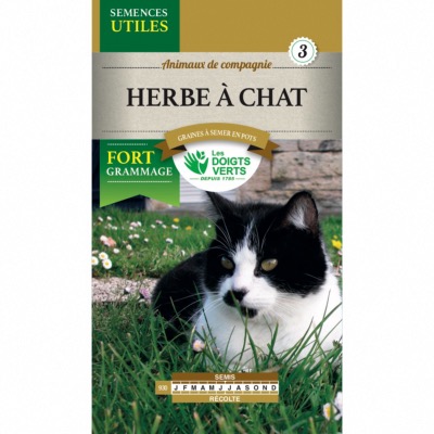 Graines Herbe à Chat