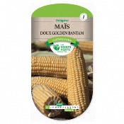 Graines Mas Doux Golden Bantam - Les Doigts Verts