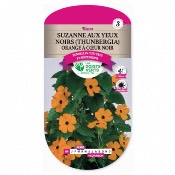 Graines Suzanne aux Yeux Noires (Thunbergia orange) - Les Doigts Verts