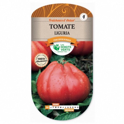 Graines Tomate Liguria - Les Doigts Verts