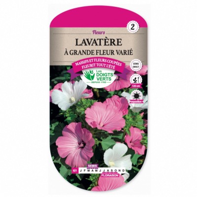 Graines Lavatère à Grande Fleur Varié - Les Doigts Verts