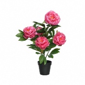 Pivoine Fushia En Pot Artificielle - Decoris