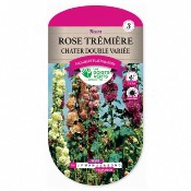 Graines Rose Trémière Chater Double Variée - Les Doigts Verts