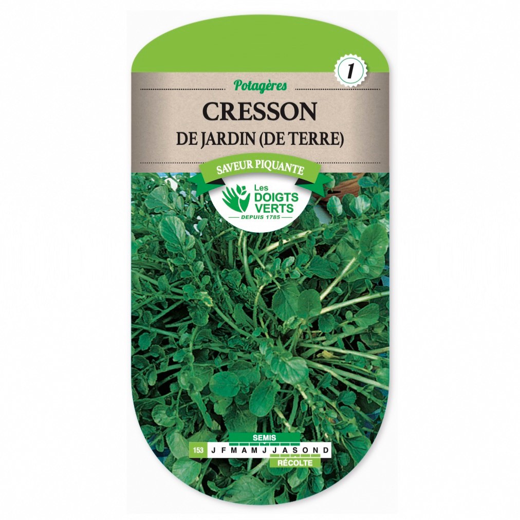 Graines Cresson Jardin Terre Les Doigts Verts