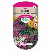 Graines Fleurs Vivaces en Mélange pour Rocailles - Les Doigts Verts