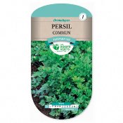 Graines Persil Commun - Les Doigts Verts