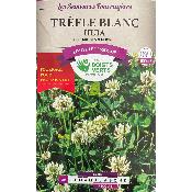 Graines Trèfle Blanc Huia 500 gr - Les Doigts Verts