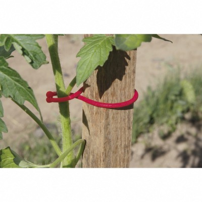 Clips Tomates Tomatoclips sachet de 25 - Nortène