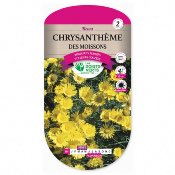 Graines Chrysanthme des Moissons - Les Doigts Verts