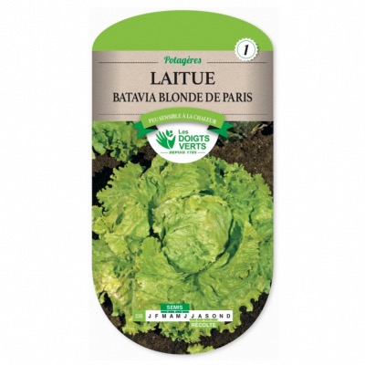 Graines Laitue Batavia Blonde de Paris - Les Doigts Verts