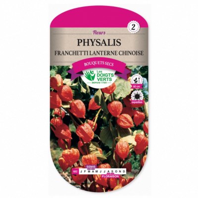 Graines Physalis Franchetti - Lanterne Chinoise - Les Doigts Verts