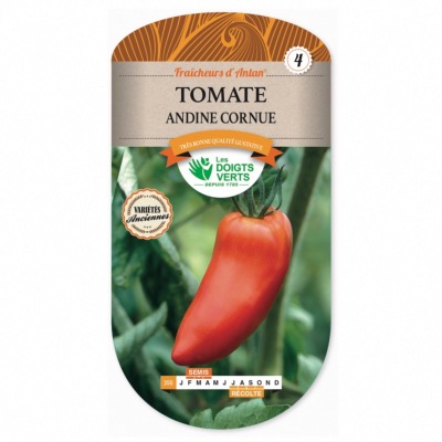 Graines Tomate Andine Cornue