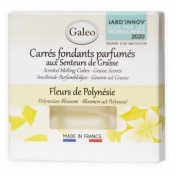 Carrés Fondants Parfumés Fleurs de Polynésie - Galeo