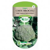 Graines Chou Brocoli Vert Marathon HYB.F1