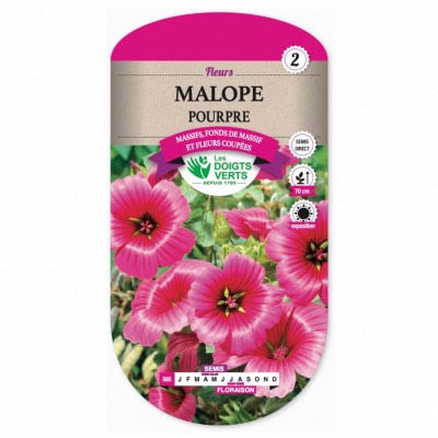 Graines Malope Pourpre - Les Doigts Verts