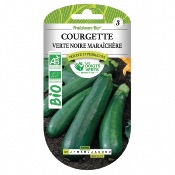 Graines BIO Courgette Verte Noire Maraichère - Les Doigts Verts