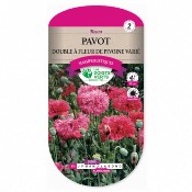 Graines Pavot Double à Fleur De Pivoine Varié - Les Doigts Verts