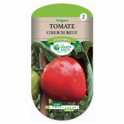 Graines Tomate Coeur de Boeuf - Les Doigts Verts