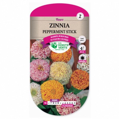 Graines Zinnia Peppermint Stick - Les Doigts Verts