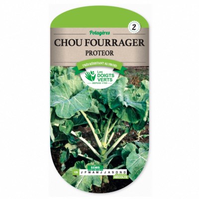 Graines Chou Fourrager Proteor - Les Doigts Verts