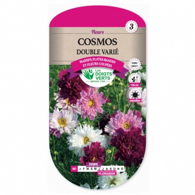 Graines Cosmos Double Varié - Les Doigts Verts