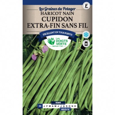 Graines Haricot Nain Cupidon Extra Fin sans Fil 150 gr - Les Doigts Verts