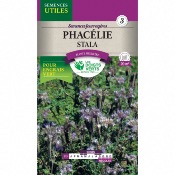 Graines Phaclie Stala - Les Doigts Verts