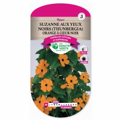 Graines Suzanne aux Yeux Noires (Thunbergia orange) - Les Doigts Verts