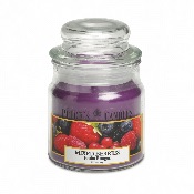 Bougie Parfume Petite Bonbonnire Fruits Rouges - Price's Candles