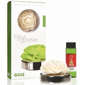 Coffret Fleur de GOATIER Rosea - Argent - Fleur de Tiar