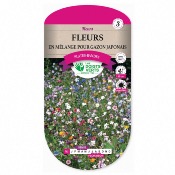 Graines Fleurs Mlange pour Gazon Japonais - Les Doigts Verts