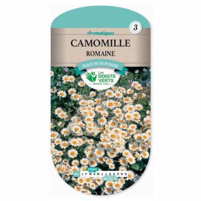 Graines de Camomille Romaine - Les Doigts Verts