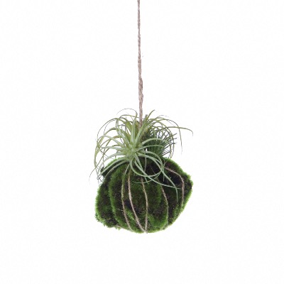 Plante Tillandsia Vert à Suspendre Artificielle de Mica