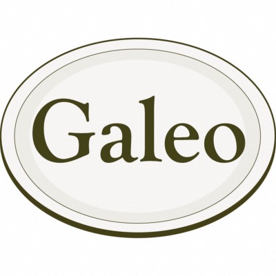Galeo Concept