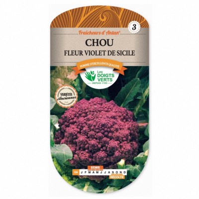 Graines Chou Fleur Violet de Sicile - Les Doigts Verts