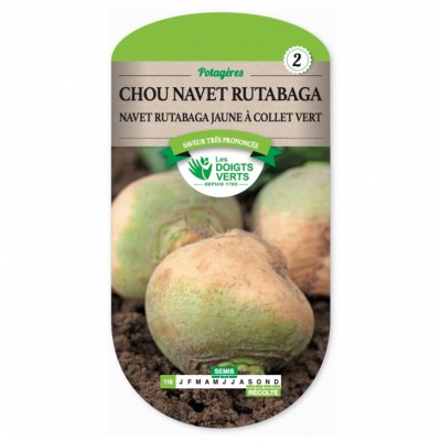 Graines Chou navet rutabaga jaune à collet vert - Les Doigts Verts