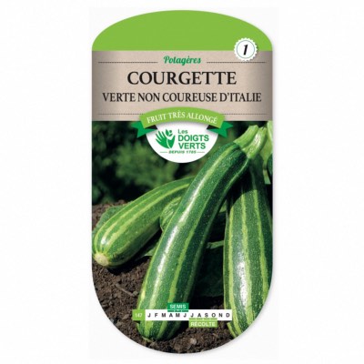 Graines Courgette Verte Non Coureuse d’Italie - Les Doigts Verts