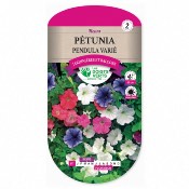 Graines Ptunia Pendula Vari - Les Doigts Verts