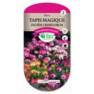 Graines Tapis Magique - Ficoide Criniflorum - Les Doigts Verts