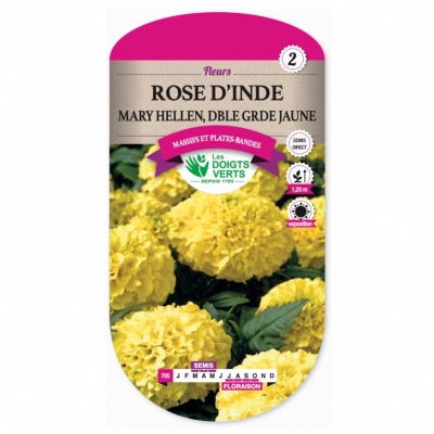 Graines Rose d'Inde Mary Hellen Double Grande Jaune - Les Doigts Verts