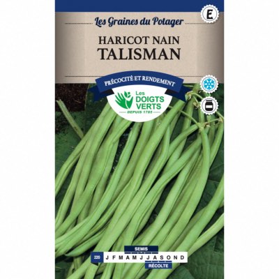 Graines Haricot Nain Talisman 50gr - Les Doigts Verts