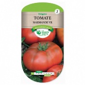 Graines Tomate Marmande - Les Doigts Verts