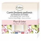 Carrés Fondants Parfumés Fleur de Lotus - GALEO
