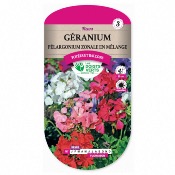 Graines Granium Plargonium Zonale en Mlange - Les Doigts Verts