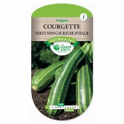 Graines Courgette Verte Non Coureuse dItalie - Les Doigts Verts