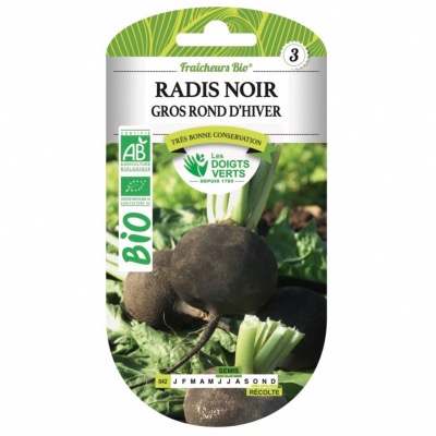 Graines Bio Radis Noir Gros Rond d'Hiver - Les Doigts Verts