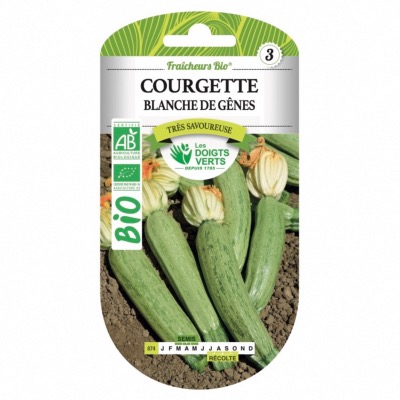 Graines BIO Courgette Blanche de Gênes - Les Doigts Verts