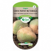 Graines Chou navet rutabaga jaune  collet vert - Les Doigts Verts